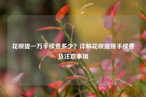花呗提一万手续费多少？详解花呗提现手续费及注意事项