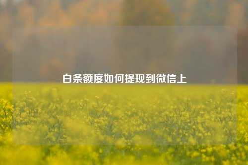 白条额度如何提现到微信上