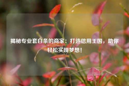 揭秘专业套白条的商家：打造信用王国，助你轻松实现梦想！