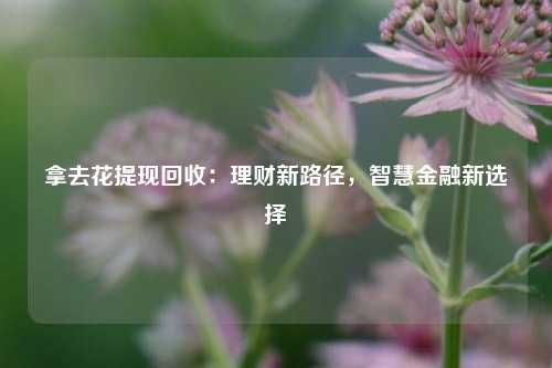 拿去花提现回收：理财新路径，智慧金融新选择