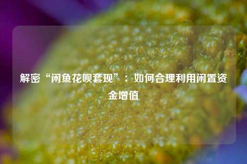 解密“闲鱼花呗套现”：如何合理利用闲置资金增值