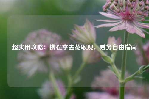 超实用攻略：携程拿去花取现，财务自由指南