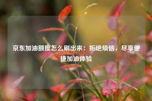 京东加油额度怎么刷出来：拒绝烦恼，尽享便捷加油体验