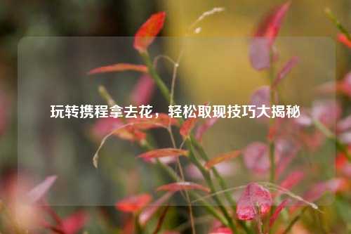 玩转携程拿去花，轻松取现技巧大揭秘