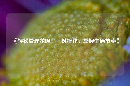 《轻松管理花呗，一键操作，掌握生活节奏》