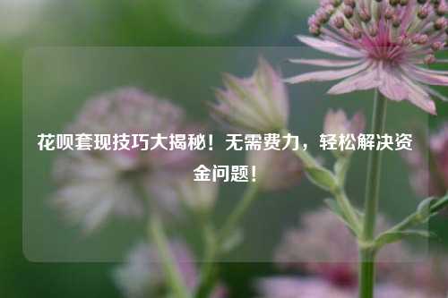 花呗套现技巧大揭秘！无需费力，轻松解决资金问题！