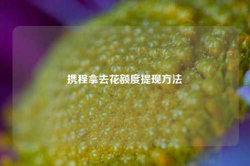 携程拿去花额度提现方法