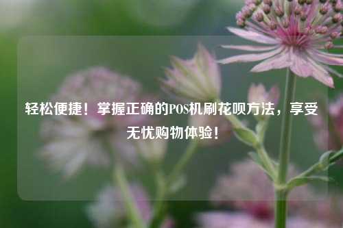 轻松便捷！掌握正确的POS机刷花呗方法，享受无忧购物体验！