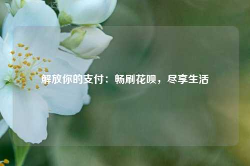 解放你的支付：畅刷花呗，尽享生活