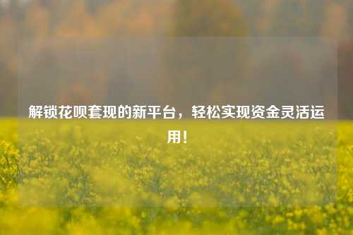 解锁花呗套现的新平台，轻松实现资金灵活运用！