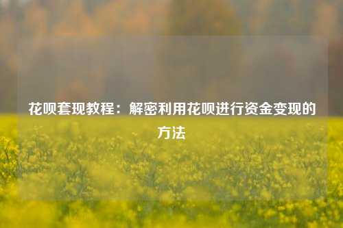 花呗套现教程：解密利用花呗进行资金变现的方法