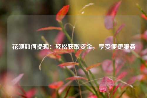 花呗如何提现：轻松获取资金，享受便捷服务