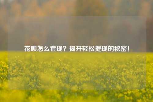 花呗怎么套现？揭开轻松提现的秘密！