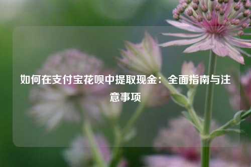 如何在支付宝花呗中提取现金：全面指南与注意事项