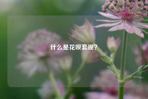 什么是花呗套现？