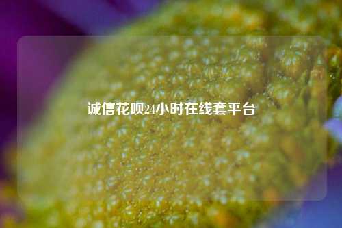 诚信花呗24小时在线套平台