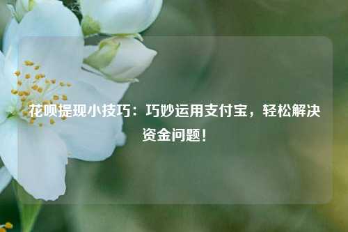 花呗提现小技巧：巧妙运用支付宝，轻松解决资金问题！