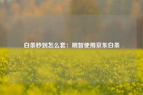 白条秒到怎么套：明智使用京东白条