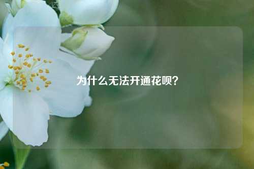 为什么无法开通花呗？