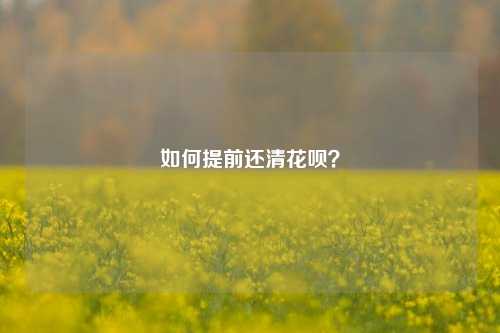 如何提前还清花呗？