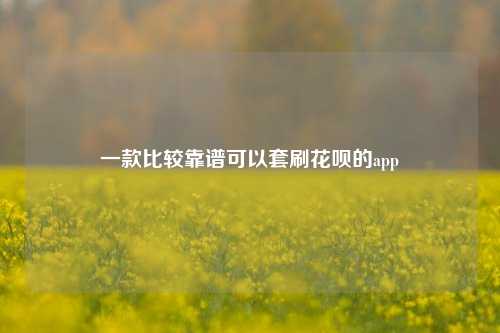 一款比较靠谱可以套刷花呗的app