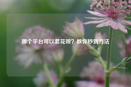 哪个平台可以套花呗？教你秒到方法