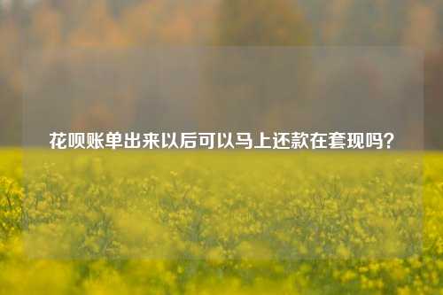 花呗账单出来以后可以马上还款在套现吗？