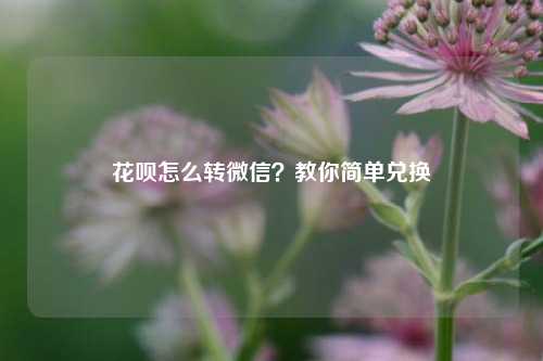 花呗怎么转微信？教你简单兑换