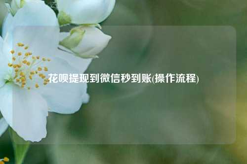 花呗提现到微信秒到账(操作流程)